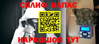 ALPHA PVP Гай